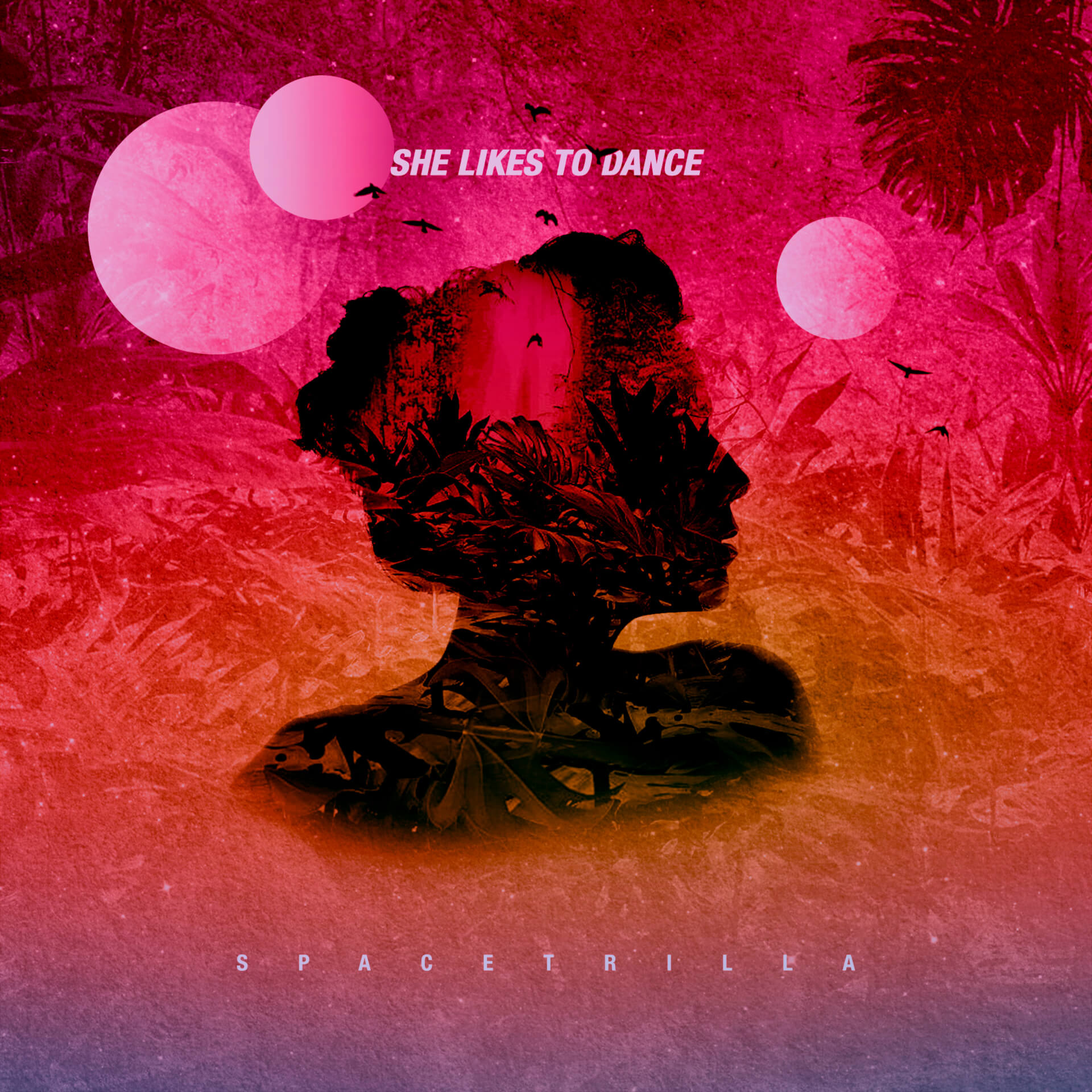 She likes to dance Vol.2 (El Flying Monkey)