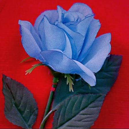 Twin Peaks Fire Walk with Me (Extended Blue Rose Cut)